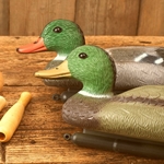 Decoys