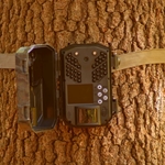Game Cameras