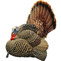 AVIAN X LCD STRUTTER DECOY