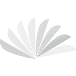 GATEWAY FEATHERS 40FW-DOZ
